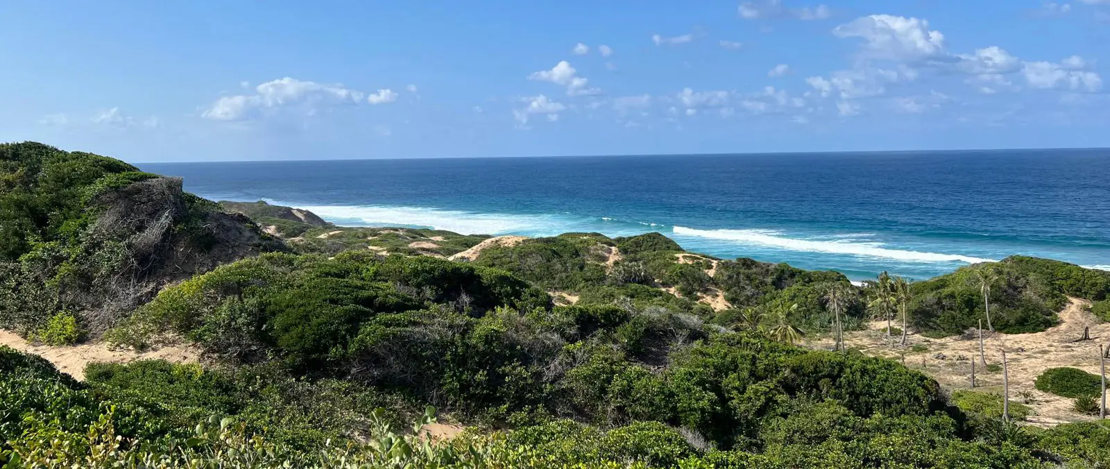 Dune trails and viewpoints